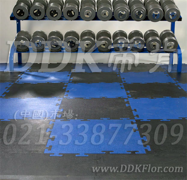 啞鈴器械區(qū)_藍(lán)色+黑色樣板圖片，帝肯(DDK)_4000（JP|勁豪）效果圖，健身房防震地墊,健身房橡膠地板,健身房地膠,健身房地毯,健身房地板膠,健身房地板,健身房地墊