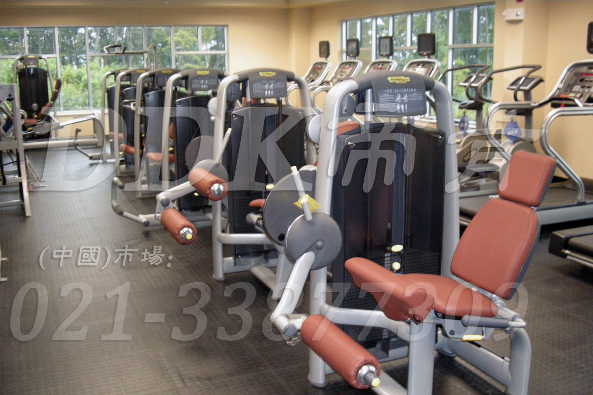 帝肯(DDK)_2000_3020（健身房器器械區(qū)地面鋪裝材料）健身房pvc塑膠地板,健身房地墊,健身房地板,健身房地板膠,健身房地毯,健身房地膠,健身房橡膠地板,健身房防震地墊,運(yùn)動(dòng)地墊,運(yùn)動(dòng)地板,運(yùn)動(dòng)地膠,